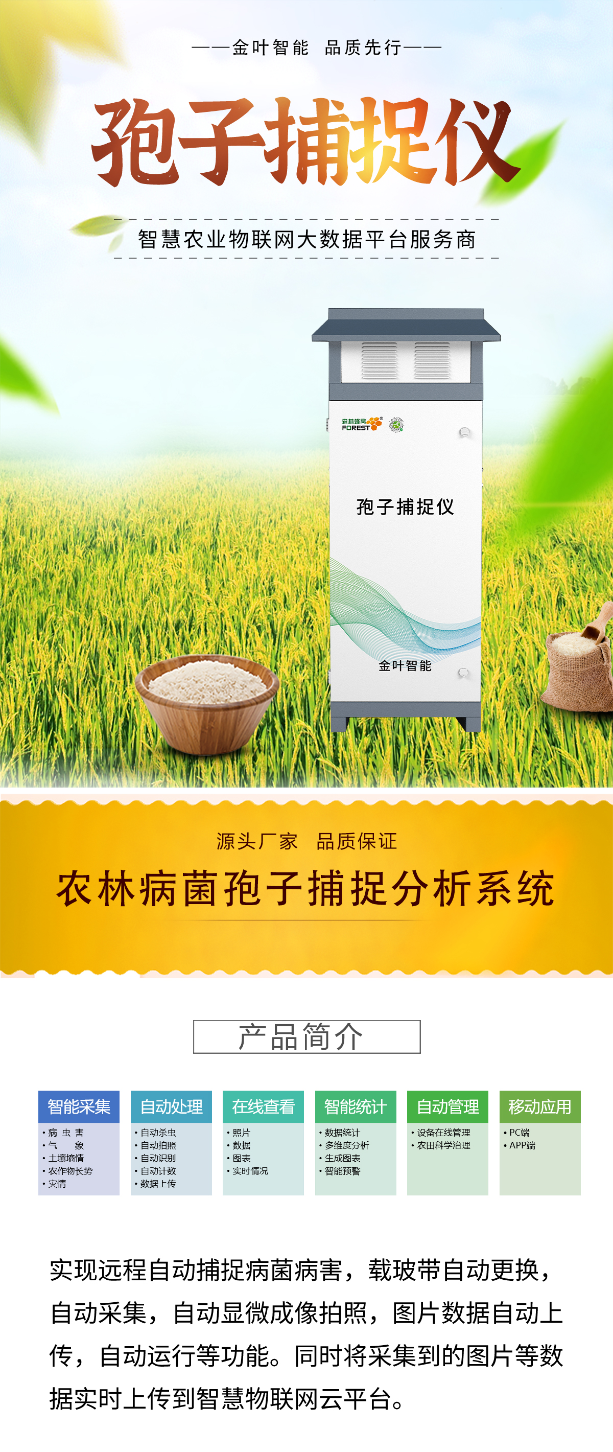 1742609733250822.jpg b_01.jpg