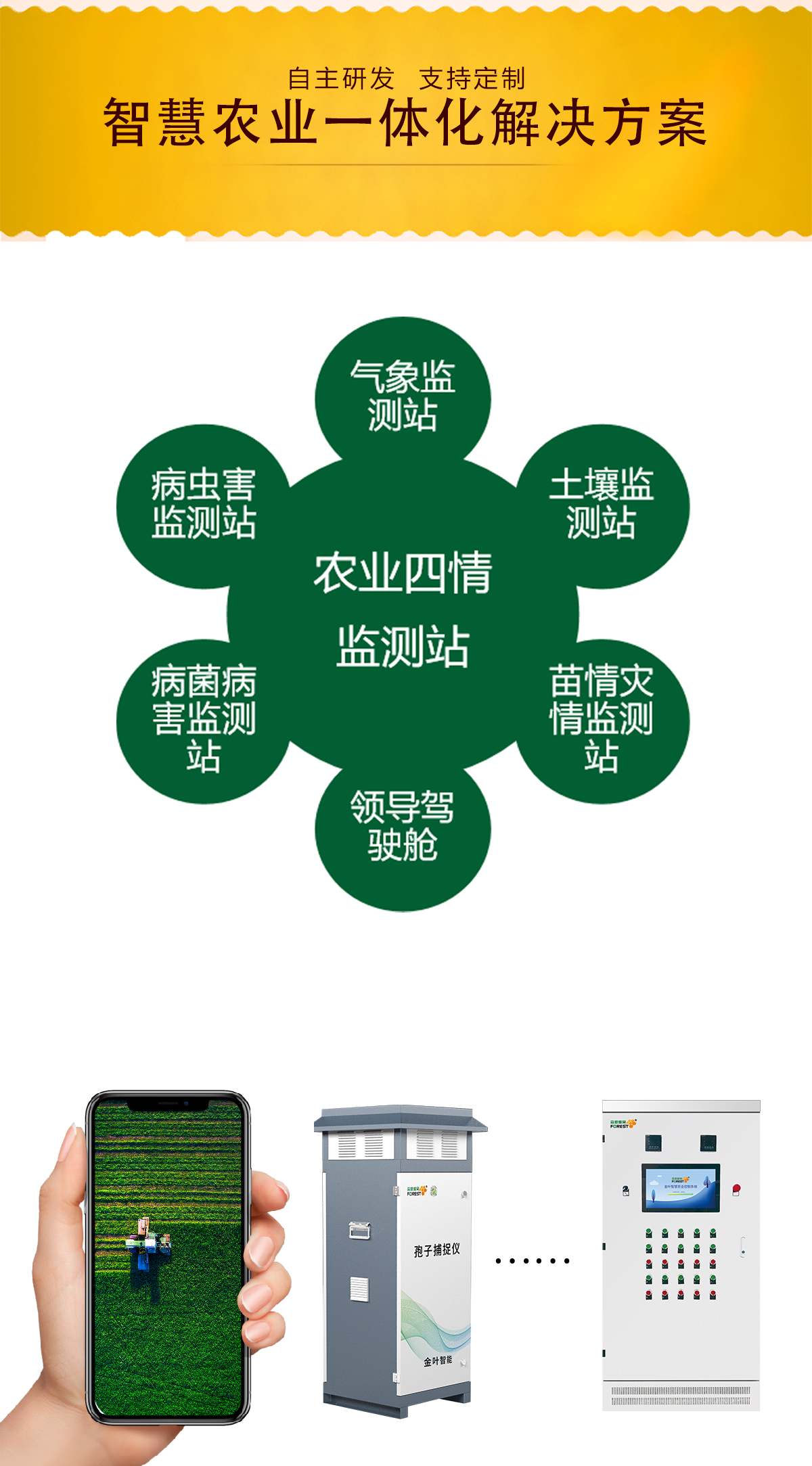 1742609755359455.jpg b_04.jpg