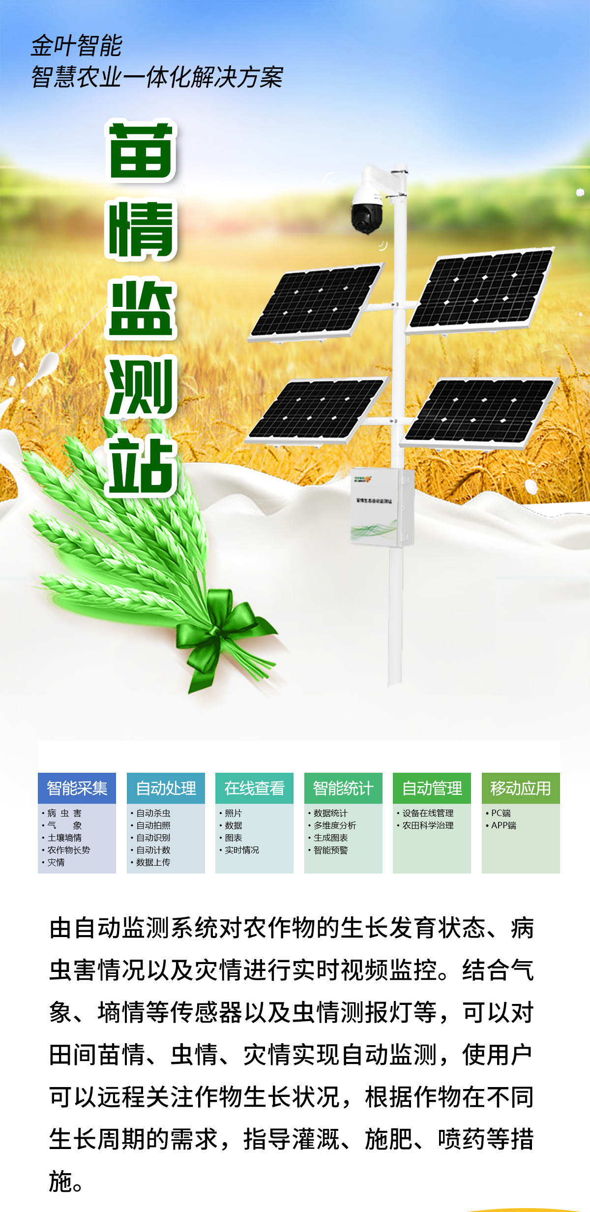 1747637739220879.jpg m_01.jpg